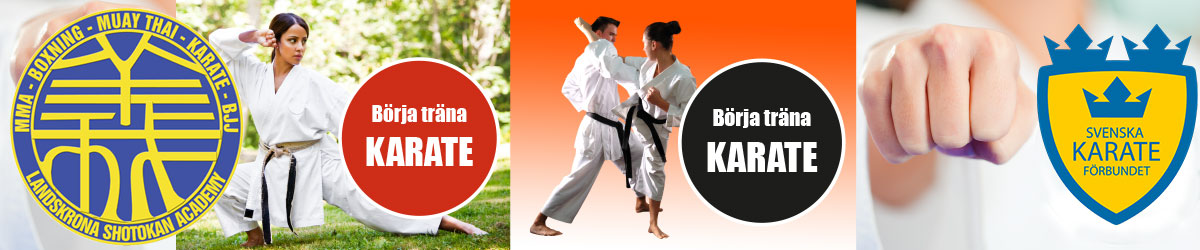 banner karate